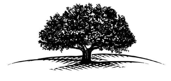Vineyard tree graphic